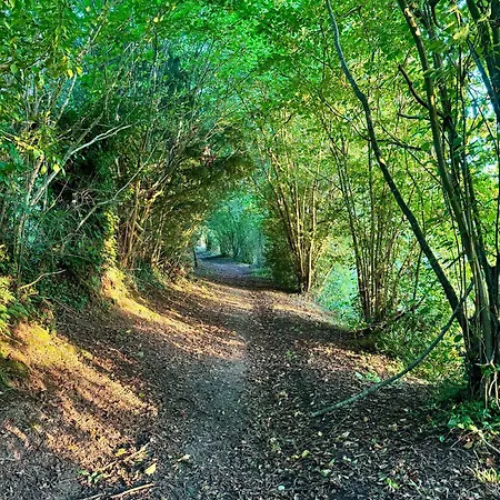 Le Refuge Du Tournapile - La Halte 펜션 Saint-Léger-Dubosq
